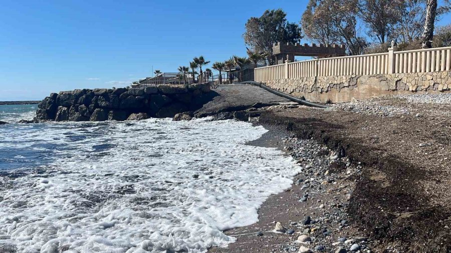 Alanya’da Sahildeki Siyah Tabaka Önce Tedirgin Etti, Gerçek Sonradan Ortaya Çıktı