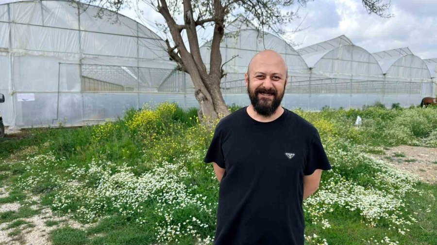 Almanya’da Eğitim Aldı, Türkiye’de "topraksız" Başarıyı Yakaladı: Hedef 100 Ton Çilek