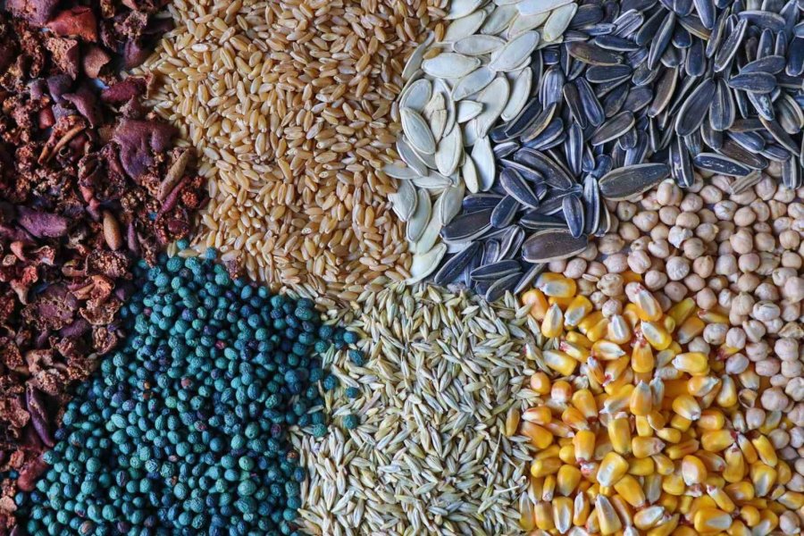 Yüzyıllık Lezzet "gavut" Sofralarda Yerini Koruyor