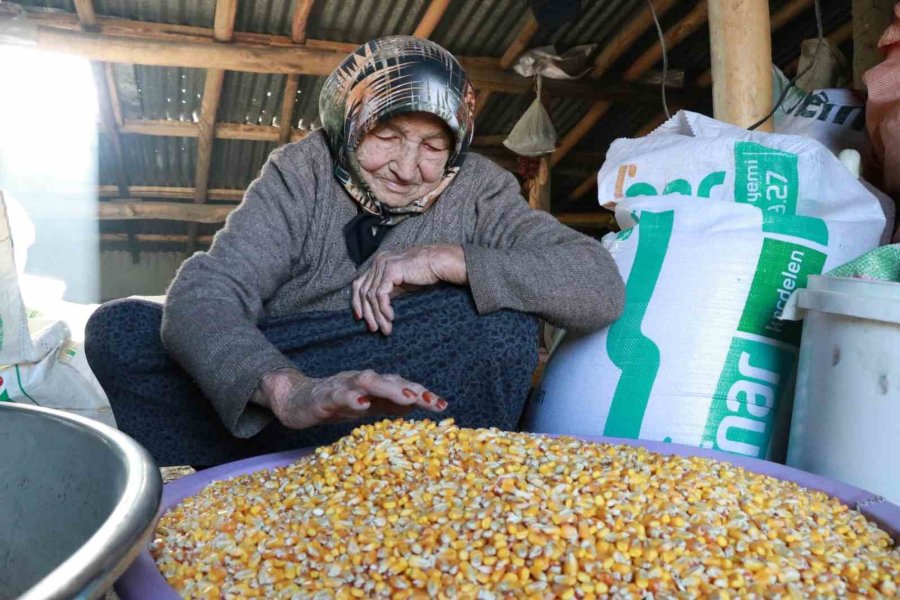 Yüzyıllık Lezzet "gavut" Sofralarda Yerini Koruyor