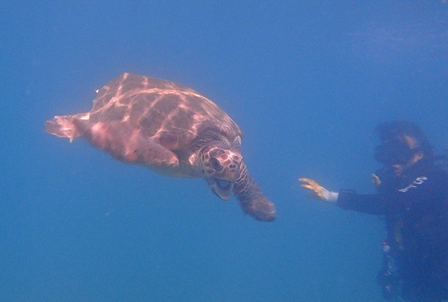 Suyun Altını Üstüne Getiriyor, Can Kurtarmak İçin Saniyelerle Yarışıyorlar