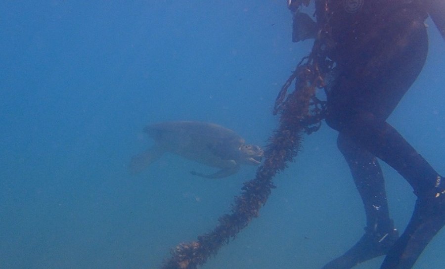 Suyun Altını Üstüne Getiriyor, Can Kurtarmak İçin Saniyelerle Yarışıyorlar