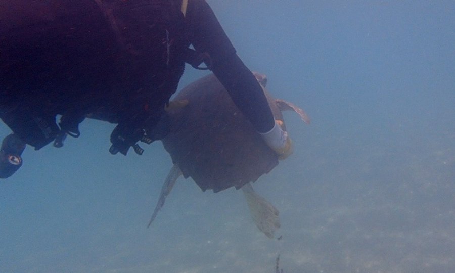 Suyun Altını Üstüne Getiriyor, Can Kurtarmak İçin Saniyelerle Yarışıyorlar