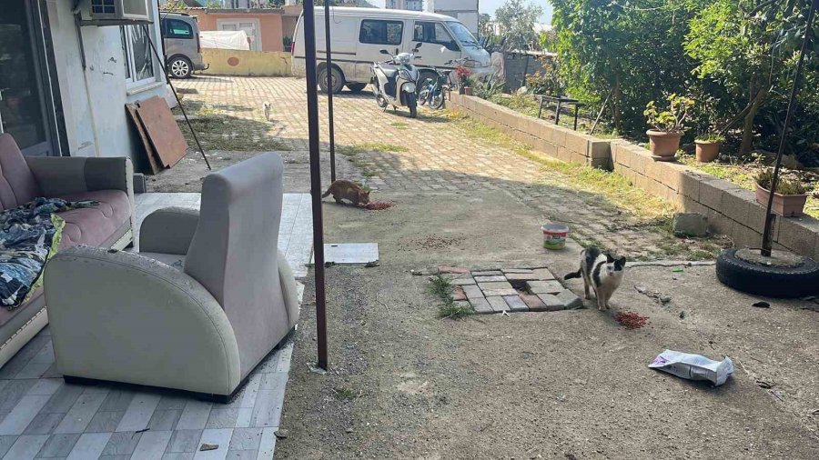 Kötü Şartlarda Evde Tutulan Hayvanlar, Gençlerin Tepkisi Sonrası Kurtarıldı