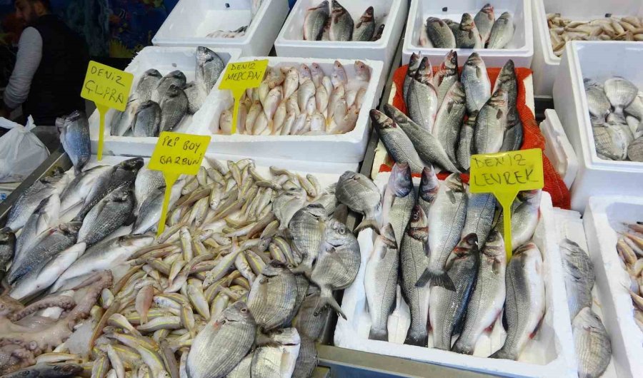 Akdeniz’de Av Yasağı Başlıyor