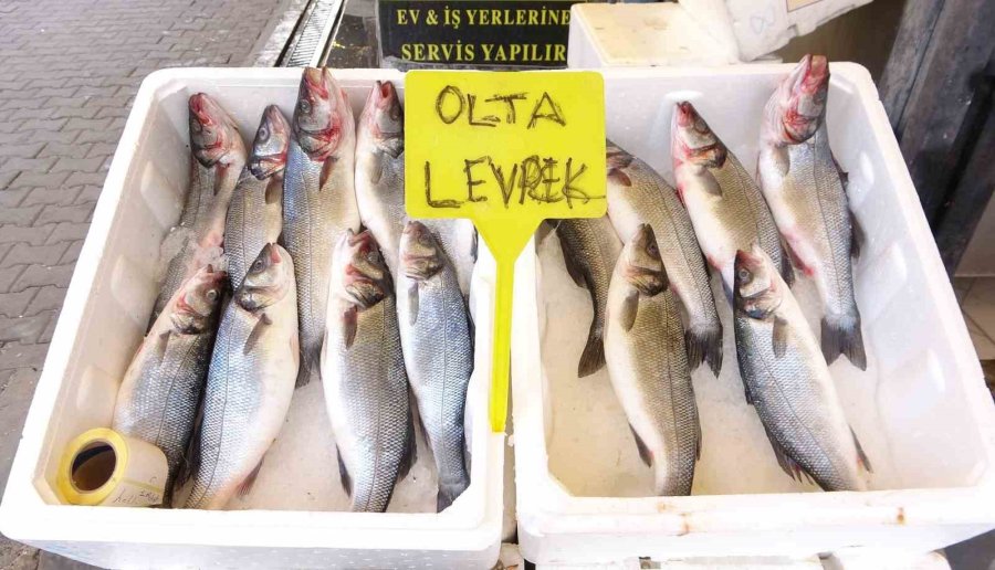 Akdeniz’de Av Yasağı Başlıyor