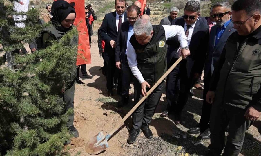 Aksaray’ın Mehmetçik Hatıra Ormanı’nda 2 Bin 500 Fidan Toprakla Buluşturuldu