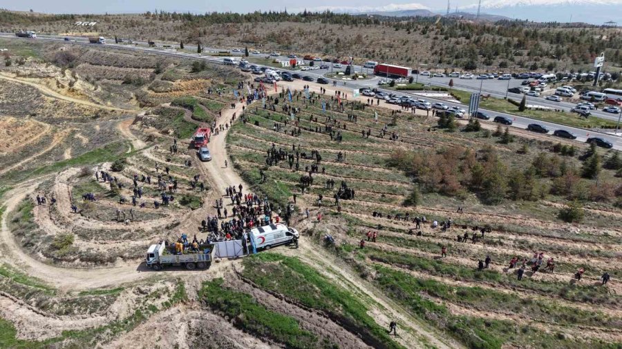 Aksaray’ın Mehmetçik Hatıra Ormanı’nda 2 Bin 500 Fidan Toprakla Buluşturuldu
