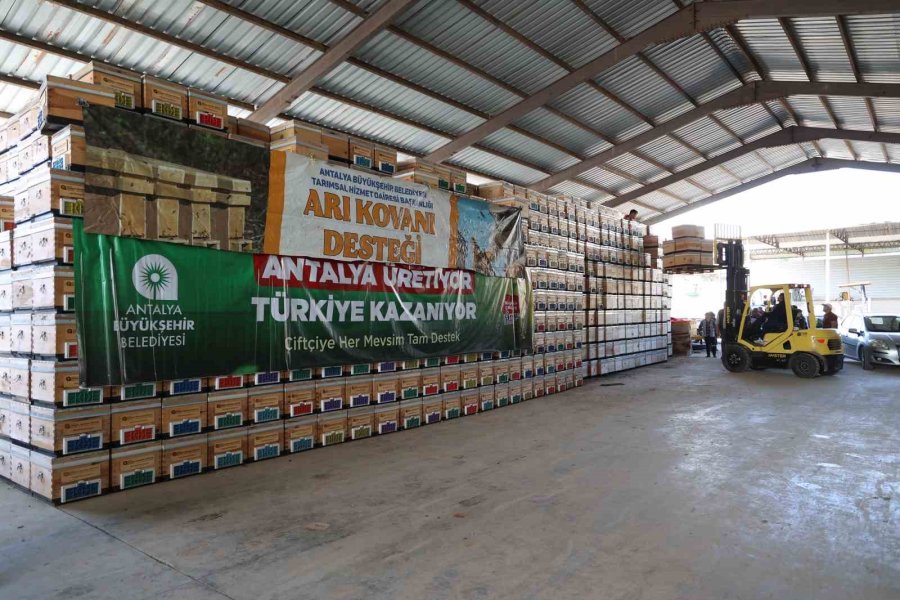 Büyükşehirden Üreticiye Arı Kovanı Desteği