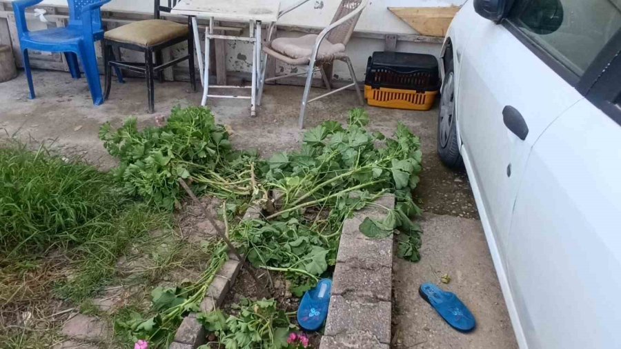 Antalya’da Küçük Çocuk İkinci Kattan Düştü, Olayı Kırıklarla Atlattı