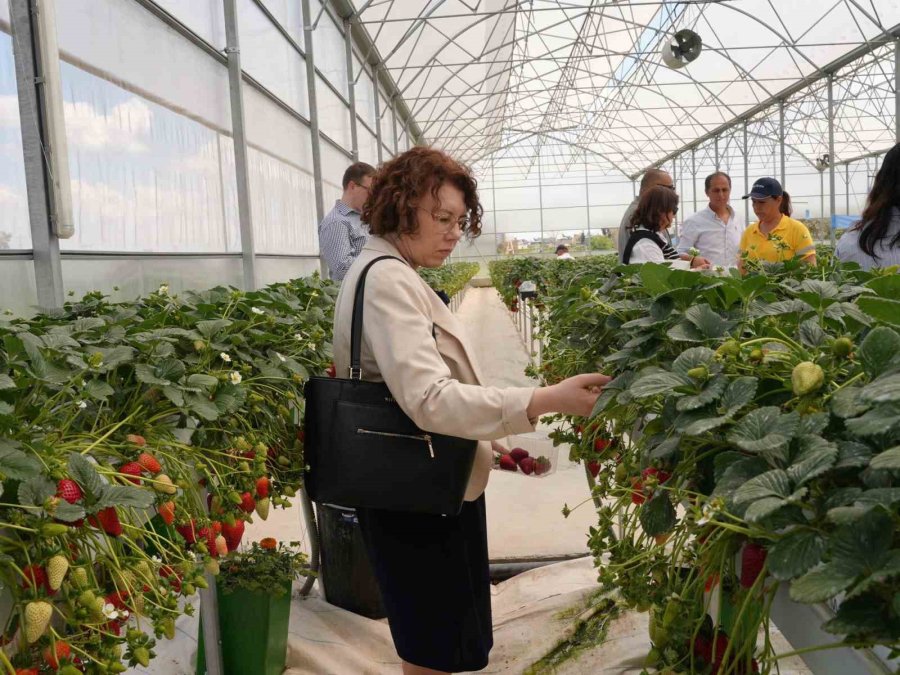 Tarsus Belediyesinden Avrupa Birliği Destekli Yeşil Dönüşüm Hamlesi