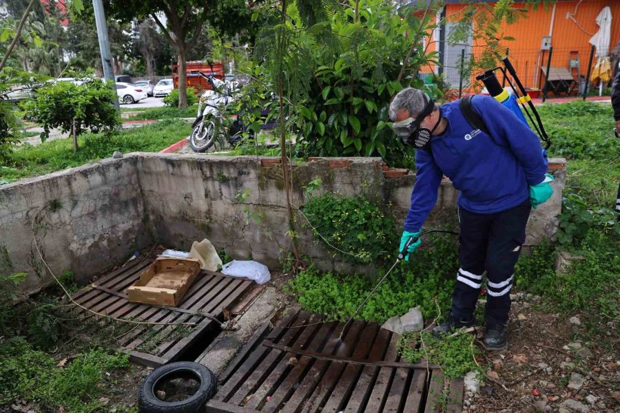Büyükşehir’den Sinek Üreme Alanlarında Yoğun Çalışma