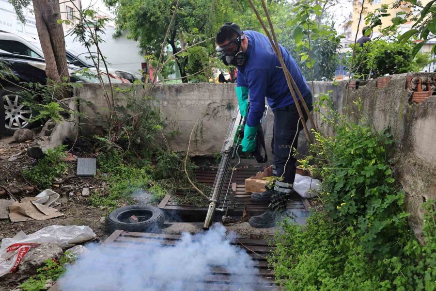Büyükşehir’den Sinek Üreme Alanlarında Yoğun Çalışma
