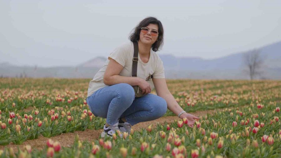 Karaman’da Lale Tarlası Ziyaretçilerine Hazırlanıyor