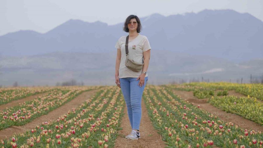 Karaman’da Lale Tarlası Ziyaretçilerine Hazırlanıyor