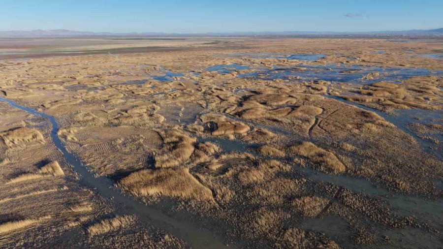 Akşehir Gölü’nde Yıllardır Görülmeyen Oldu