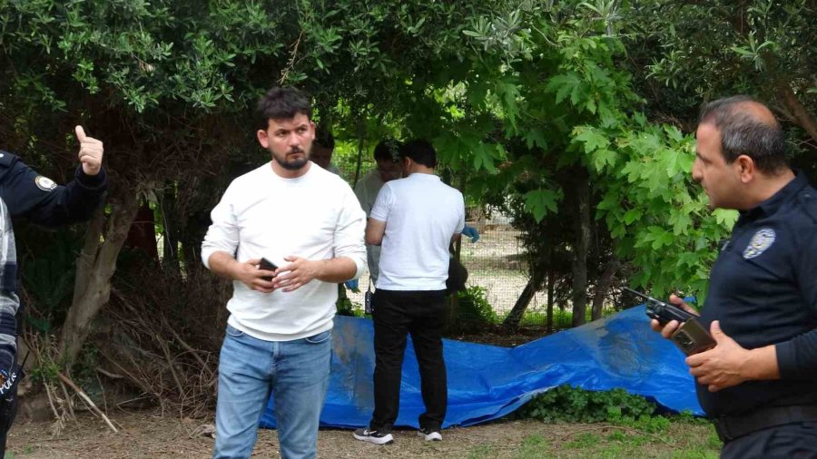 Antalya’da Bir Kişi Ağaçlık Alanda Ölü Bulundu