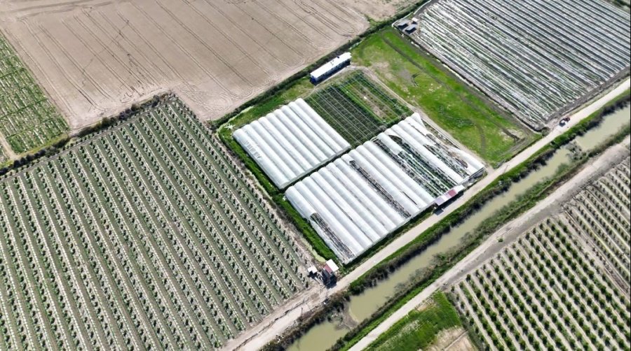 Mersin’de Seraya Baskın: Binlerce Kök Hint Keneviri Ele Geçirildi