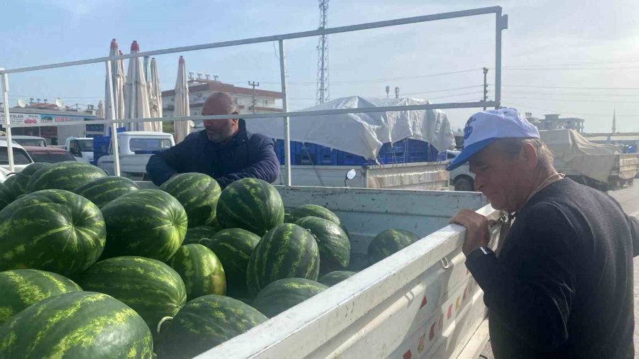 Antalya’da Sezonun İlk Karpuz Hasadı Yapıldı