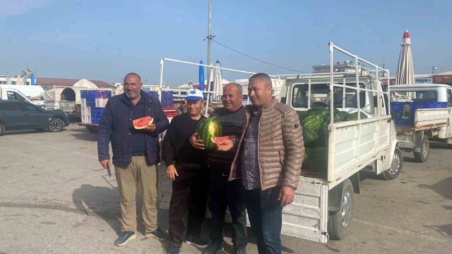 Antalya’da Sezonun İlk Karpuz Hasadı Yapıldı