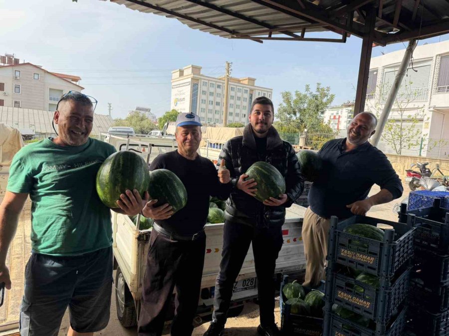 Antalya’da Sezonun İlk Karpuz Hasadı Yapıldı