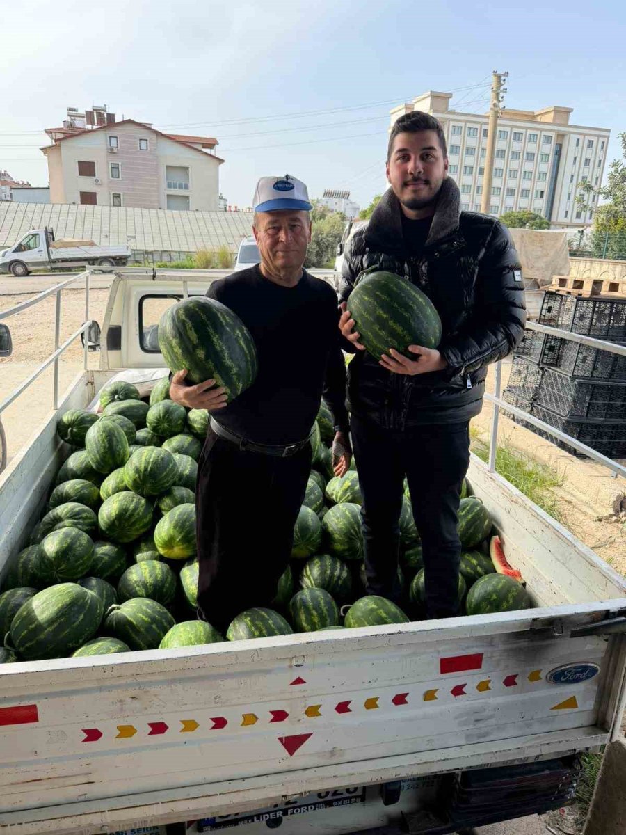 Antalya’da Sezonun İlk Karpuz Hasadı Yapıldı
