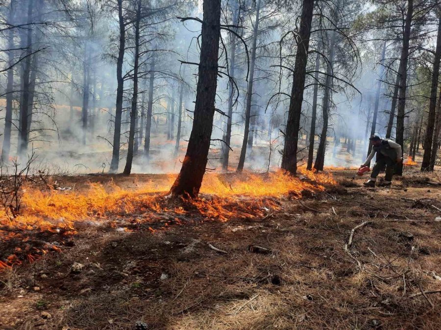 Mersin’de Orman Yangınlarına Karşı Tatbikat Yapıldı