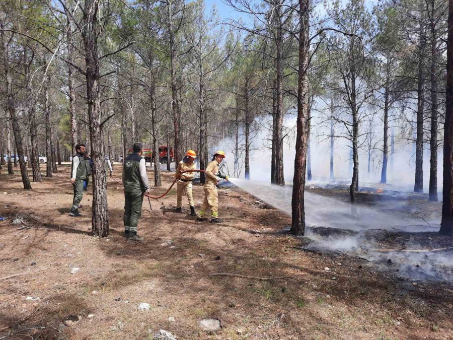 Mersin’de Orman Yangınlarına Karşı Tatbikat Yapıldı