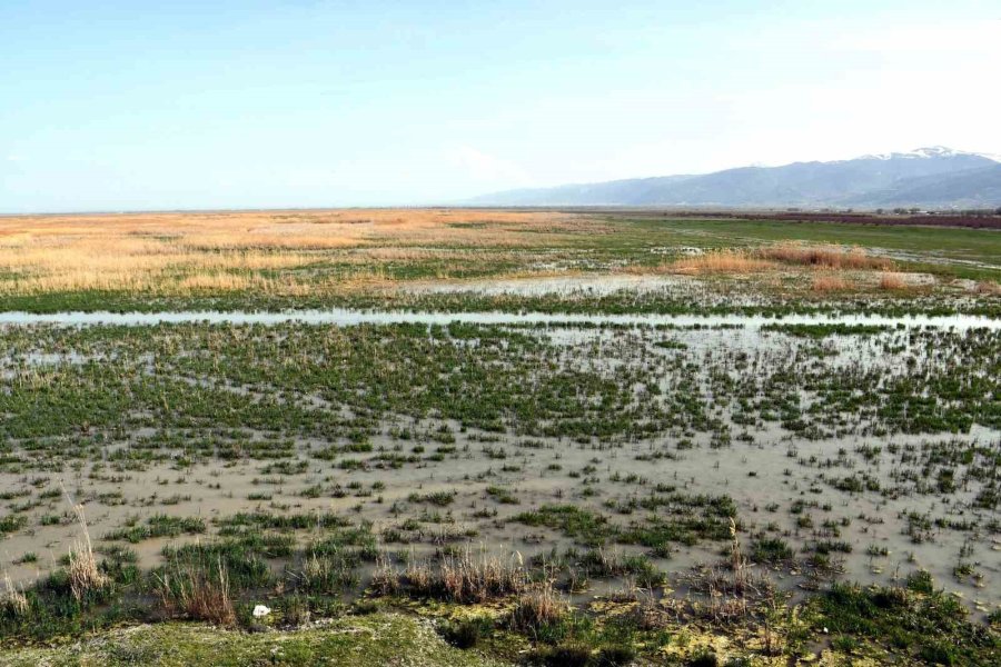 Akşehir Gölü 8 Yıl Aradan Sonra Su Tutmaya Başladı