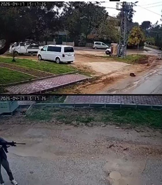 Kavga Eden Sokak Köpeklerine Tüfekle Ateş Edip Bir Köpeği Öldürdü