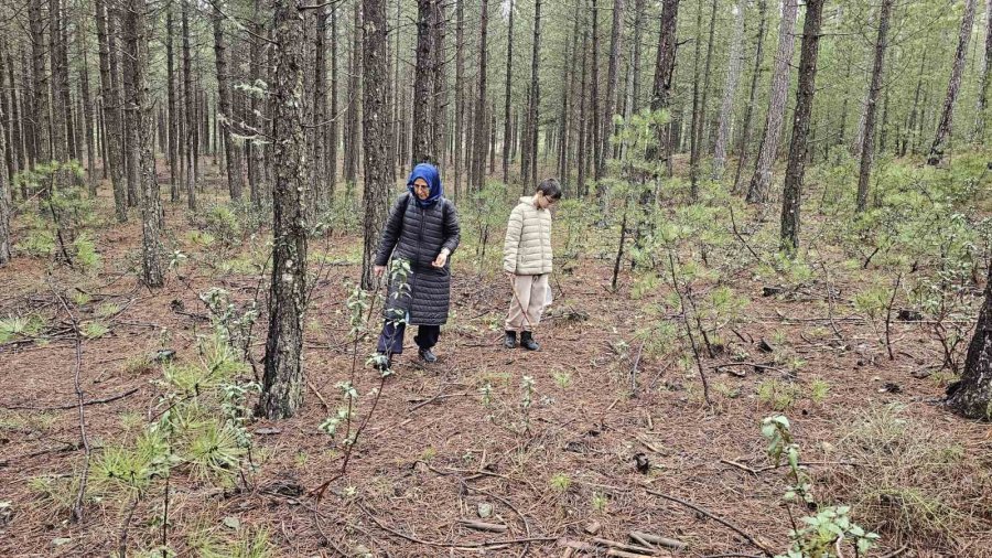 Beyşehir’de Doğa Tutkunları Hem Yürüyüş Hem De Kuzugöbeği İçin Buluştu