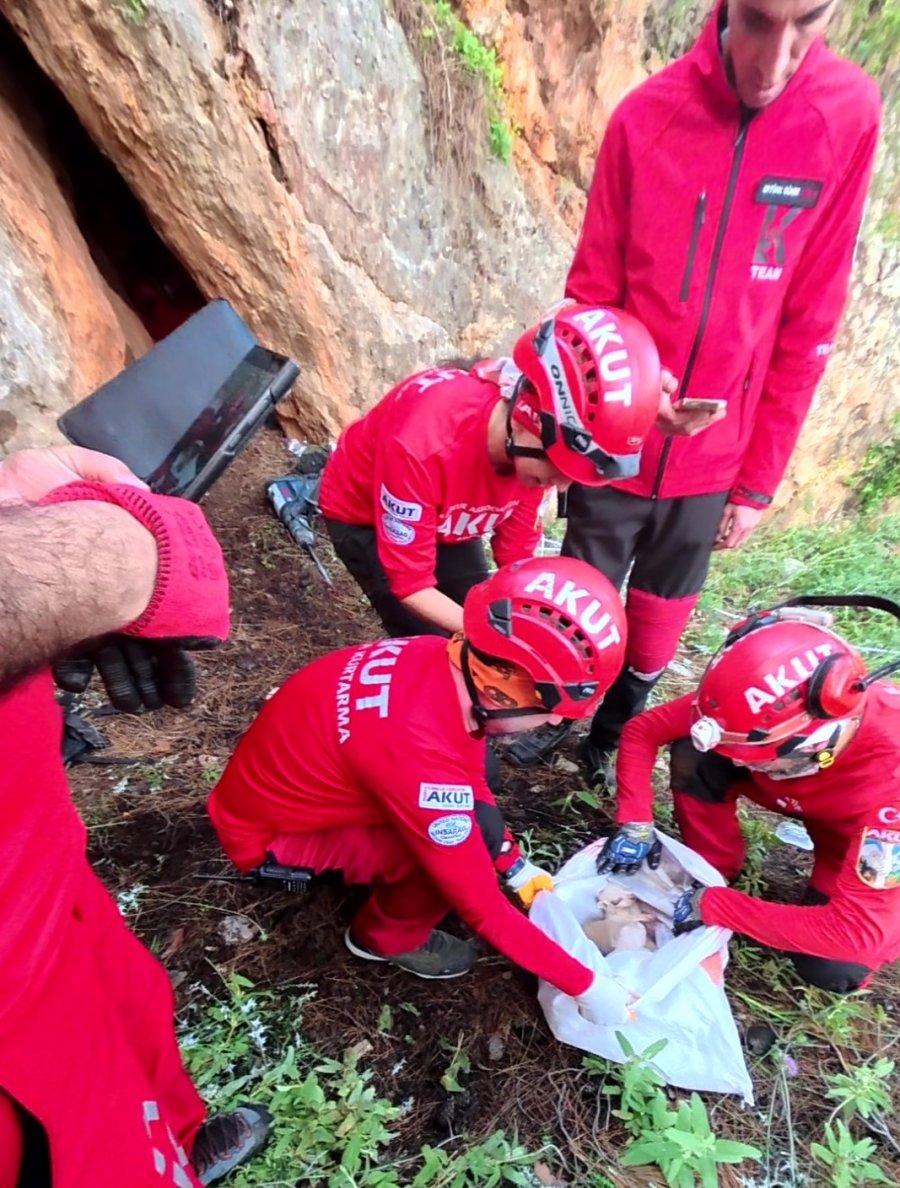 Kaya İçerisindeki Yarığa Düşen 6 Yavru Köpek İçin Film Gibi Kurtarma Operasyonu