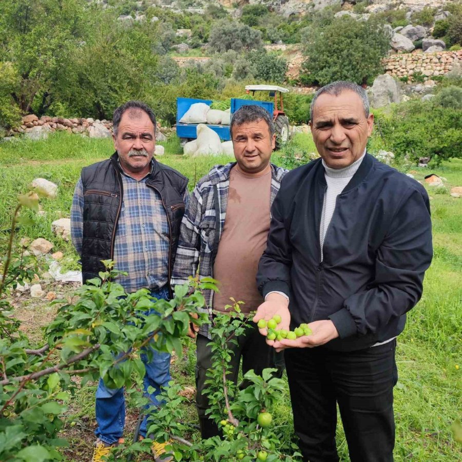 Dolu Afeti Sonrası Hasar Tespit Çalışmalarına Başlandı