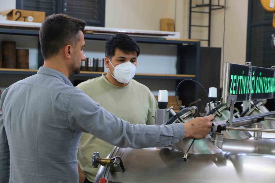 Zeytinyağında Üreticileri Heyecanlandıracak Makine: Soğuk Sıkımda Sıcak Sıkım Verimi