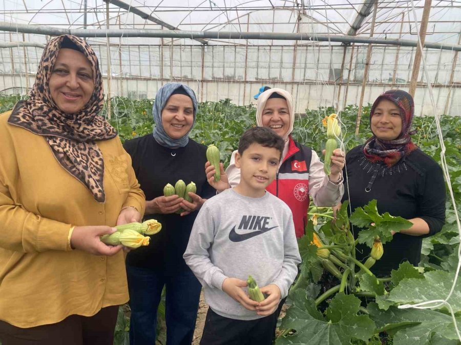 Kadın Çiftçi Hem Üretiyor Hem İhraç Ediyor Hem De Pazarda Satıyor