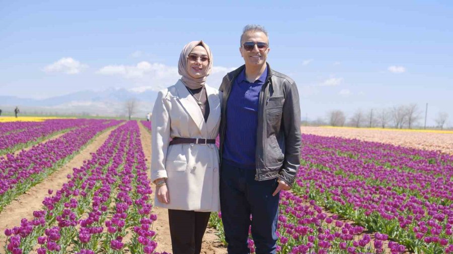 Karaman’da Lale Tarlasına Ziyaretçi Akını: 2 Günde 30 Bin Kişi Gezdi