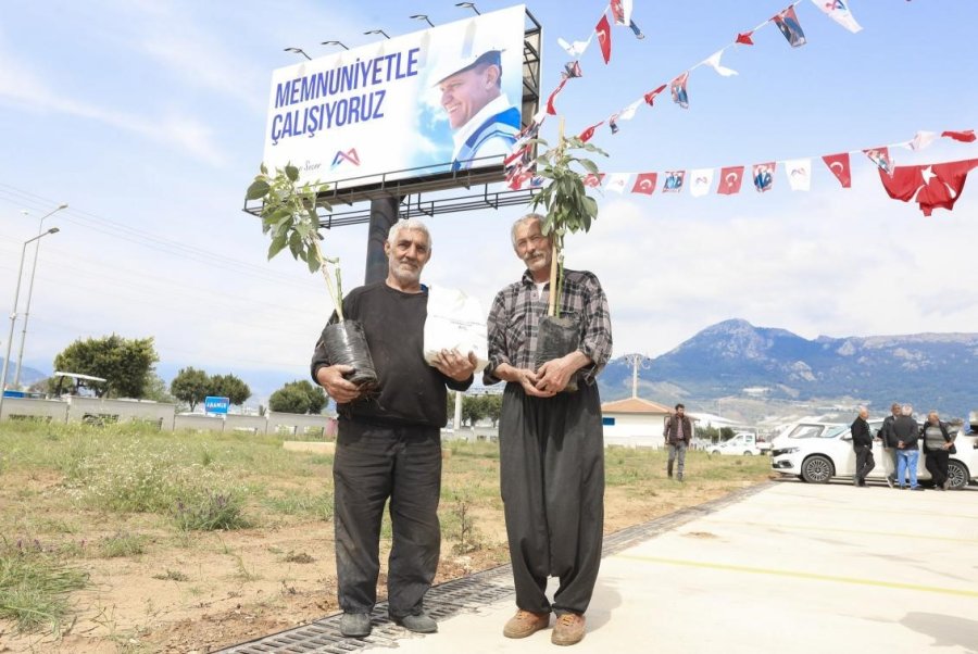 Mersin’de Üreticiye Avokado Fidanı Ve Destek Dağıtımı