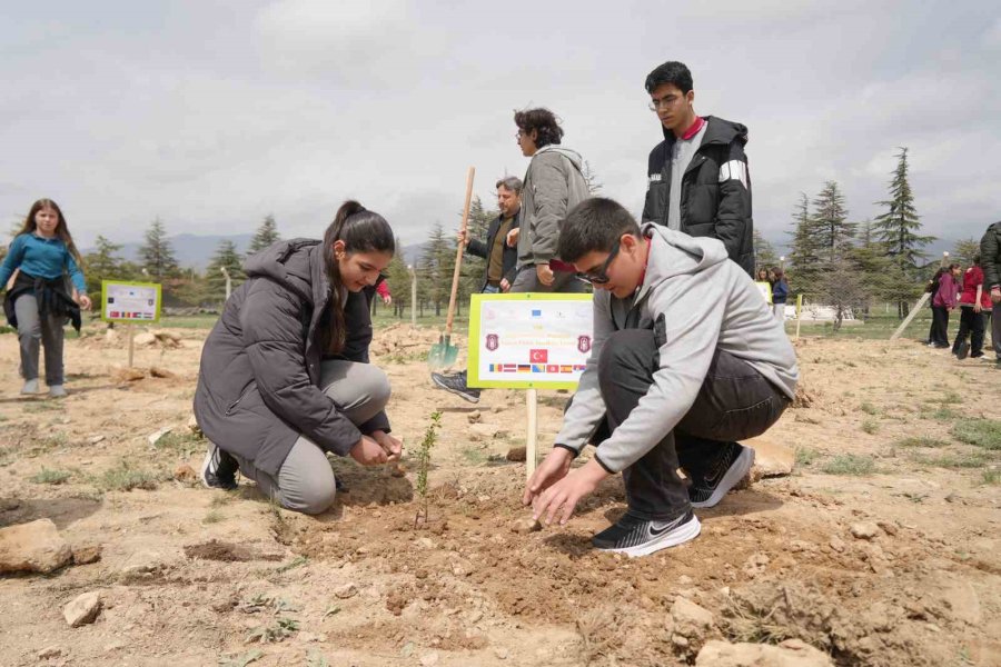 15 Okuldan 230 Öğrenci 115 Fidanı Toprakla Buluşturdu