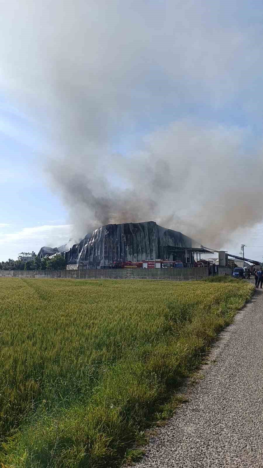 Antalya’da Patates Üretim Tesisinde Yangın