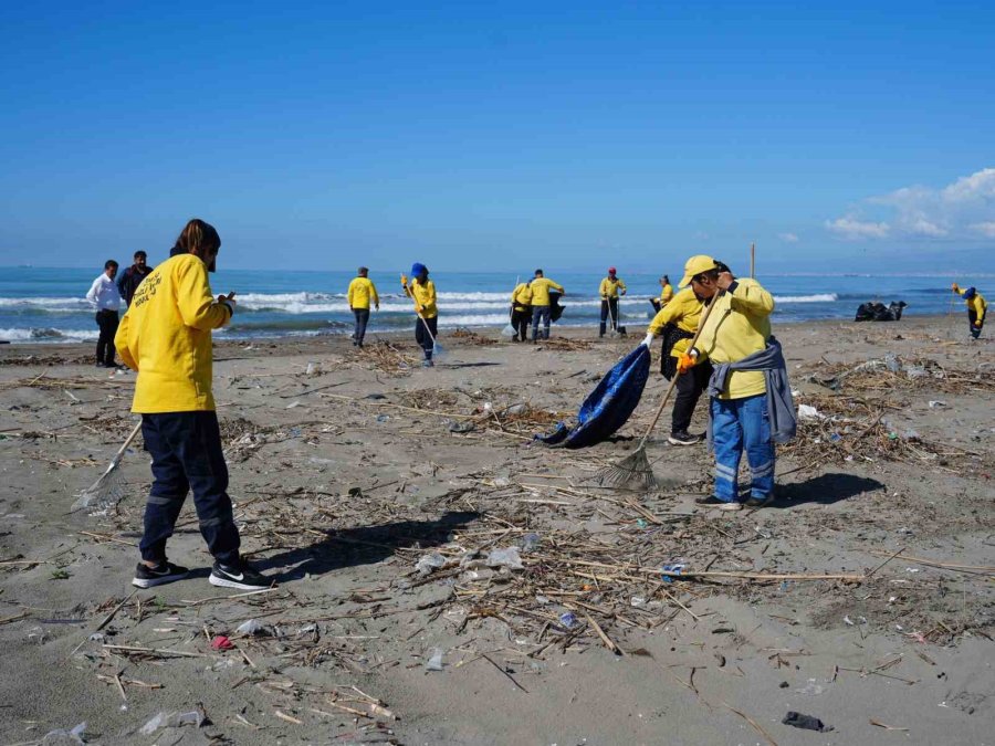 Tarsus’ta Kaplumbağalar İçin Seferberlik