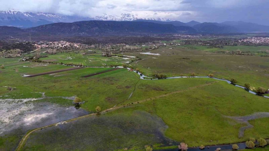 Leyleklerin Durağı Yemyeşil Görüntüsüyle Mest Ediyor