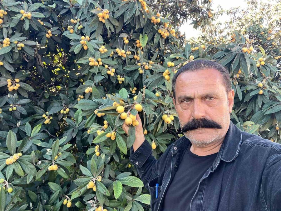 Talep Azalınca Bedava Dağıttı, Poşetini Alan Bahçeye Koştu