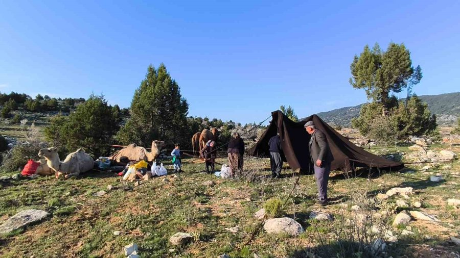 Toroslar’da Yörük Göçü Başladı: Sarıkeçililer Yayla Yolunda