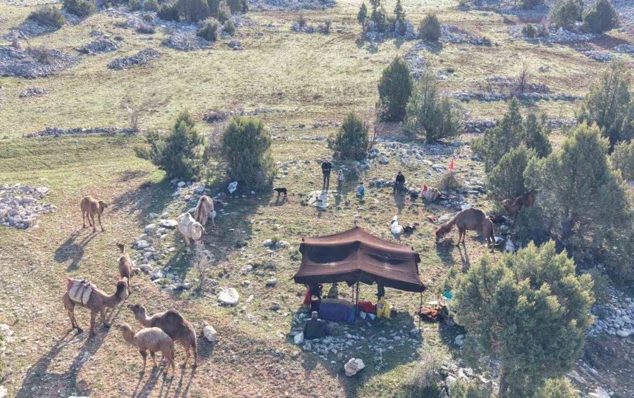 Toroslar’da Yörük Göçü Başladı: Sarıkeçililer Yayla Yolunda