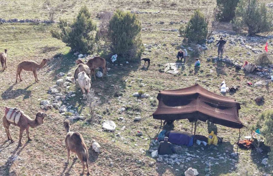 Toroslar’da Yörük Göçü Başladı: Sarıkeçililer Yayla Yolunda
