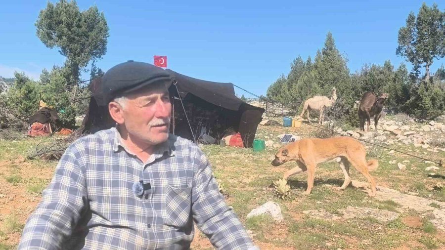 Toroslar’da Yörük Göçü Başladı: Sarıkeçililer Yayla Yolunda