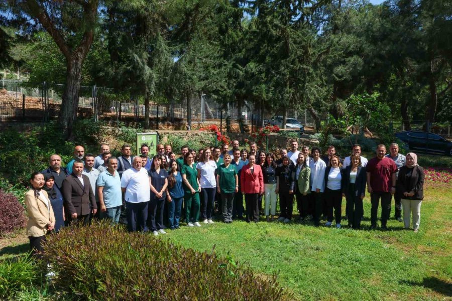 Başkan Vekili Büşra Özdemir: "veteriner Hekimlerin Üstlendikleri Sorumluluk Çok Kıymetli"