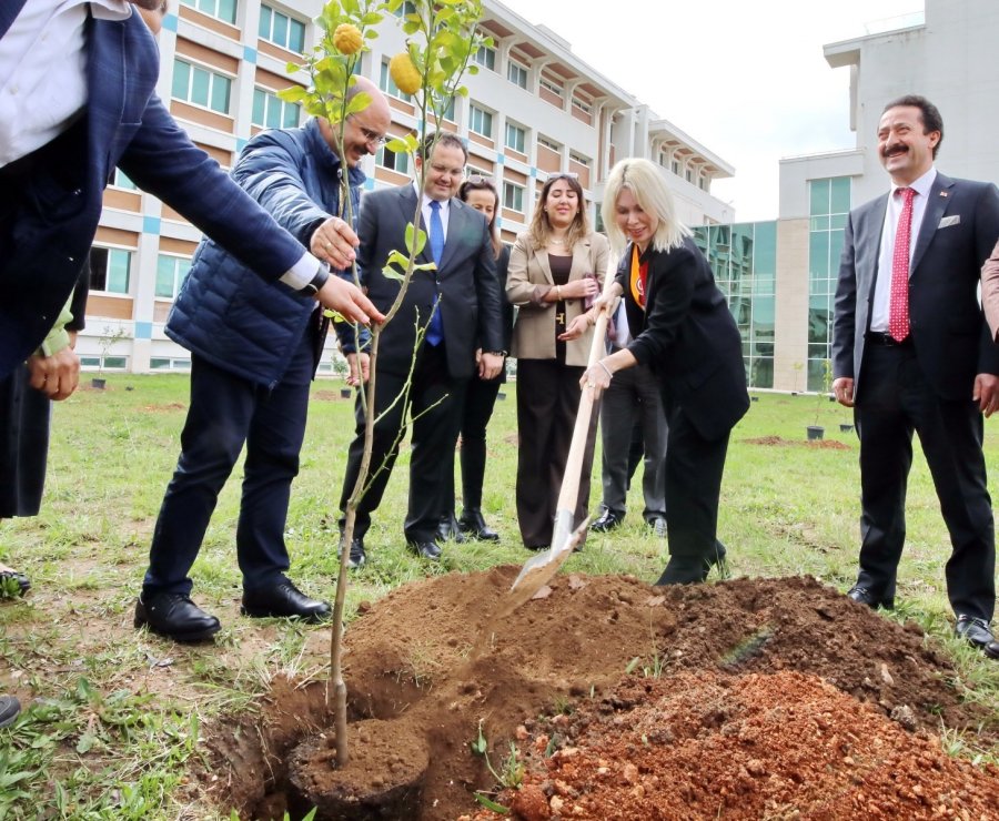 Akdeniz Üniversitesi’nde Son 2 Yılda 5 Bin Fidan Dikildi