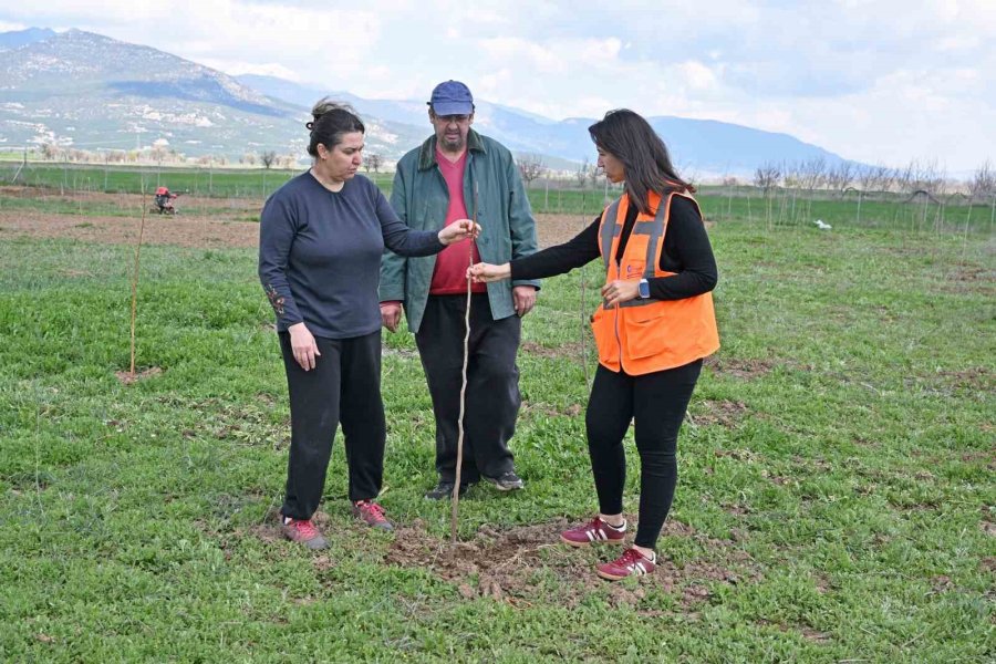 Büyükşehir İpek Böceği Yetiştiriciliğini Yaygınlaştırıyor