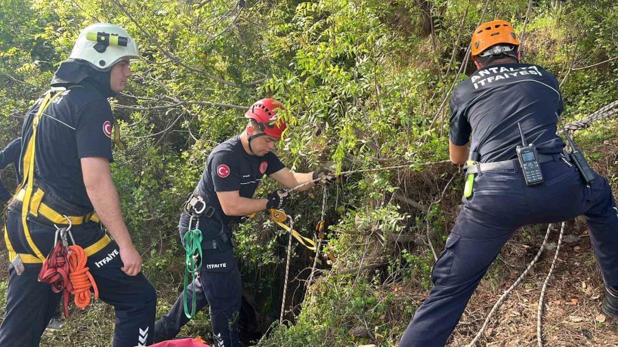 Dağlık Alanda Otlarken Mağaraya Düşen İnek Mağaraya İnebilecek Kasap Bulunamayınca Telef Oldu